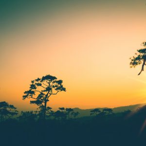 Atardecer en el valle de Sakana - Foto 3